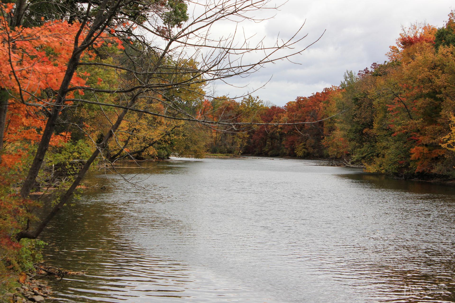 A calm river surrounded by vibrant orange and red autumn trees on an overcast day.