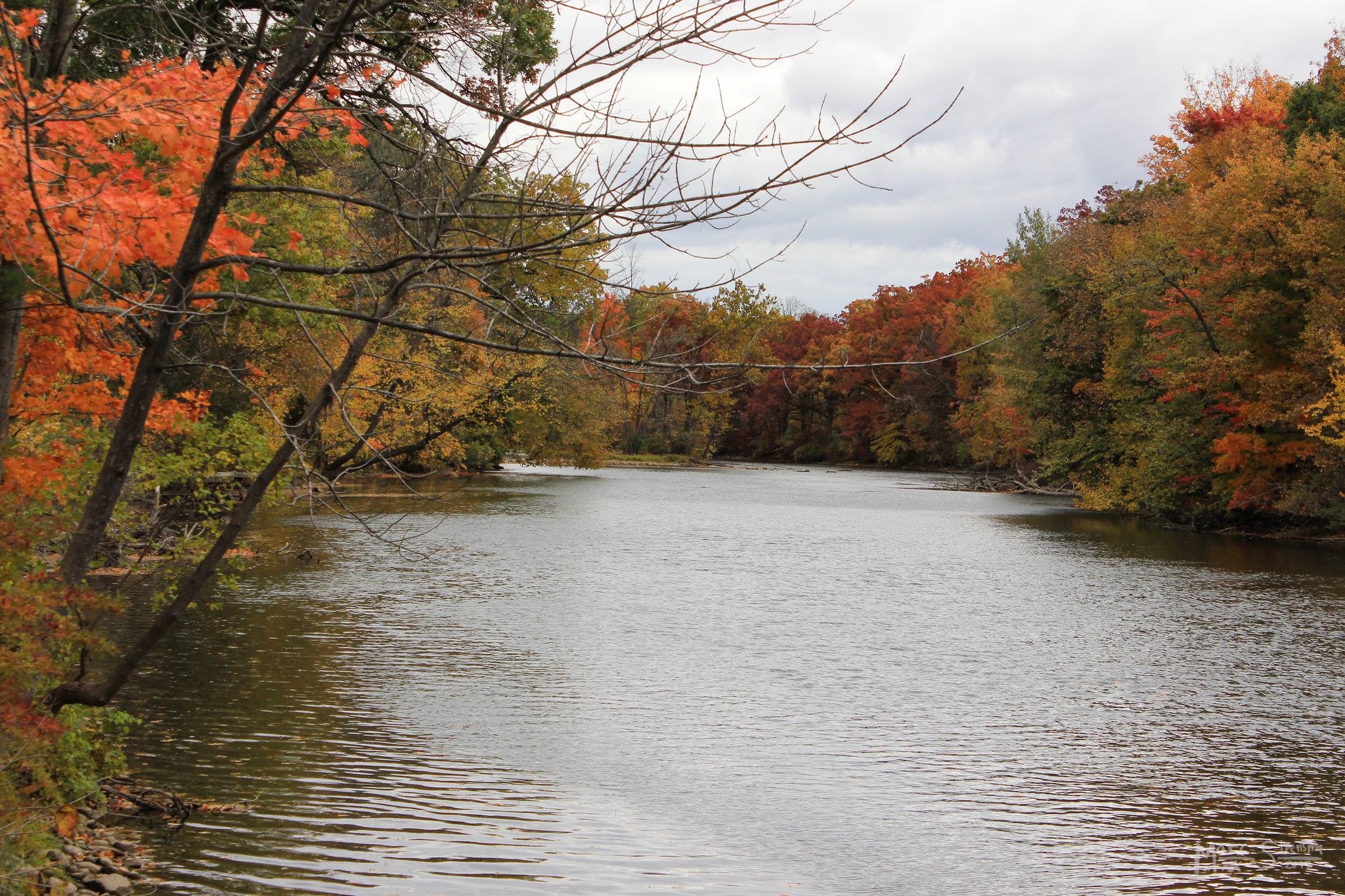 A calm river surrounded by vibrant orange and red autumn trees on an overcast day. - Fred Meijer White Pine and Pere Marquette Trails Loop