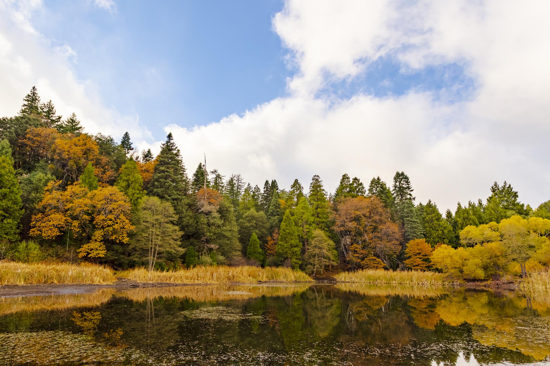 Lake reflecting vibrant autumn trees under a partly cloudy sky.