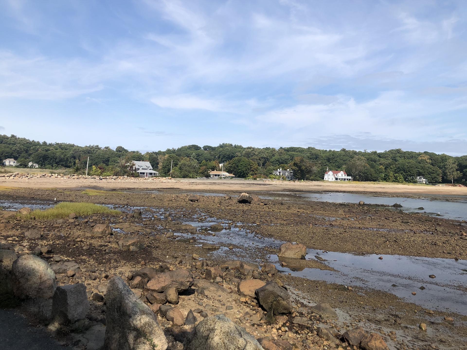 Exposed rocky and muddy tidal flats with distant houses and trees.