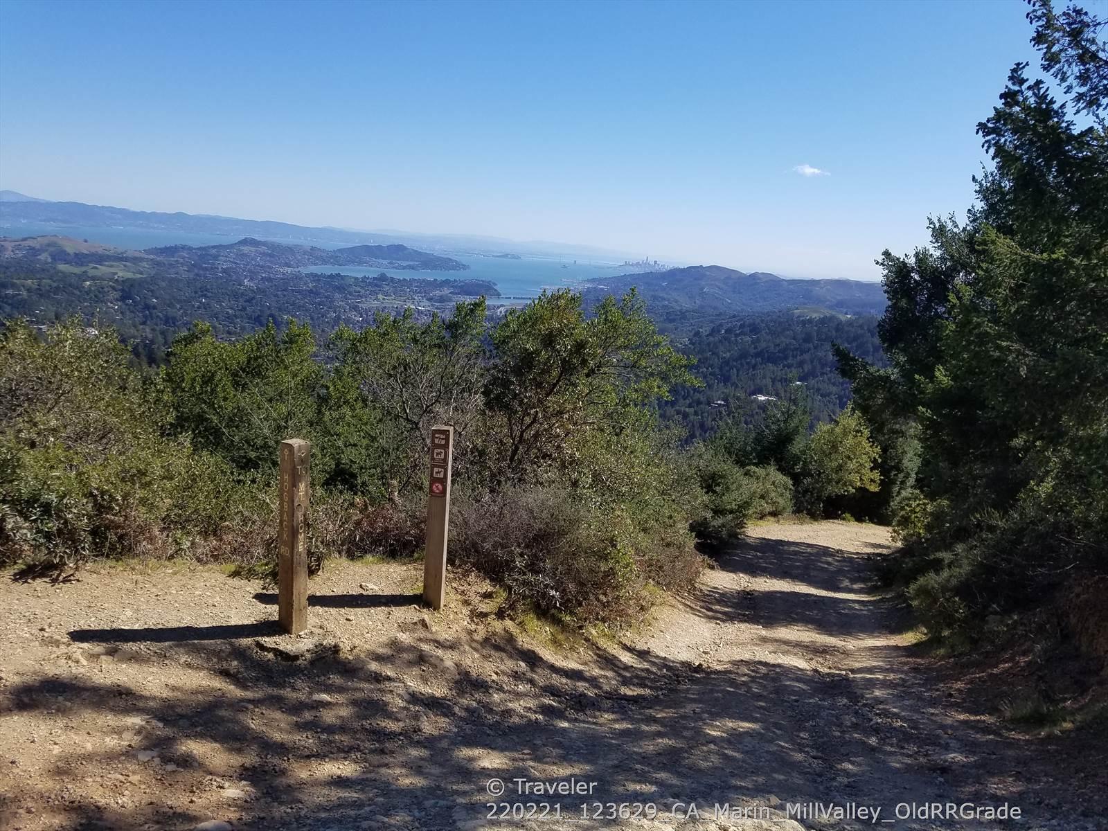 A dirt path leads into a forest with a distant view of water.