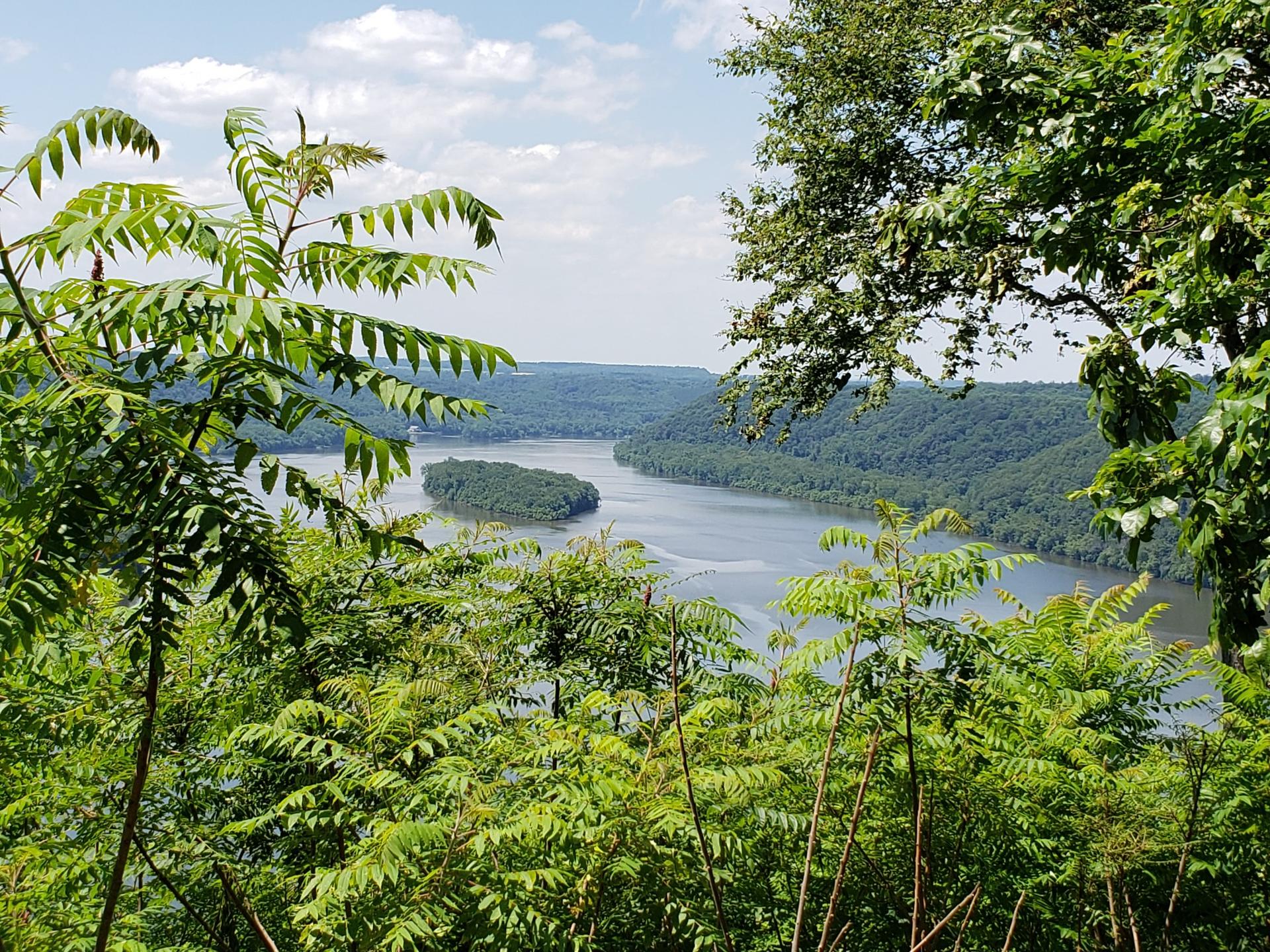 Panoramic view of a wide river with an island, seen through green foliage.