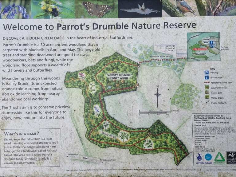 Parrots Drumble Routes for Walking and Hiking | Komoot