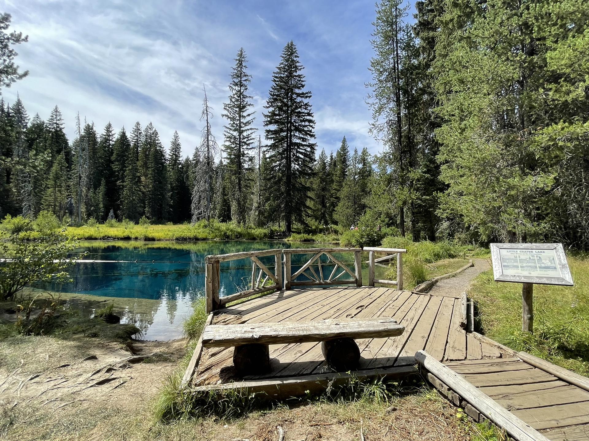 Wooden viewing platform next to a clear blue pond surrounded by forest.