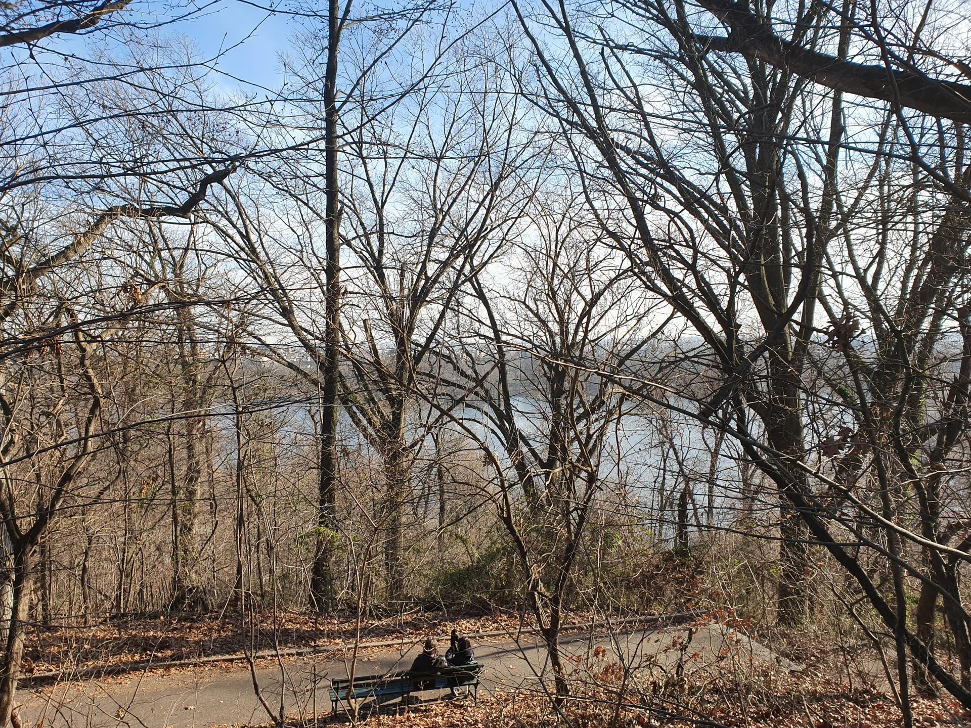 Two people sitting on a bench on a path, surrounded by bare trees.