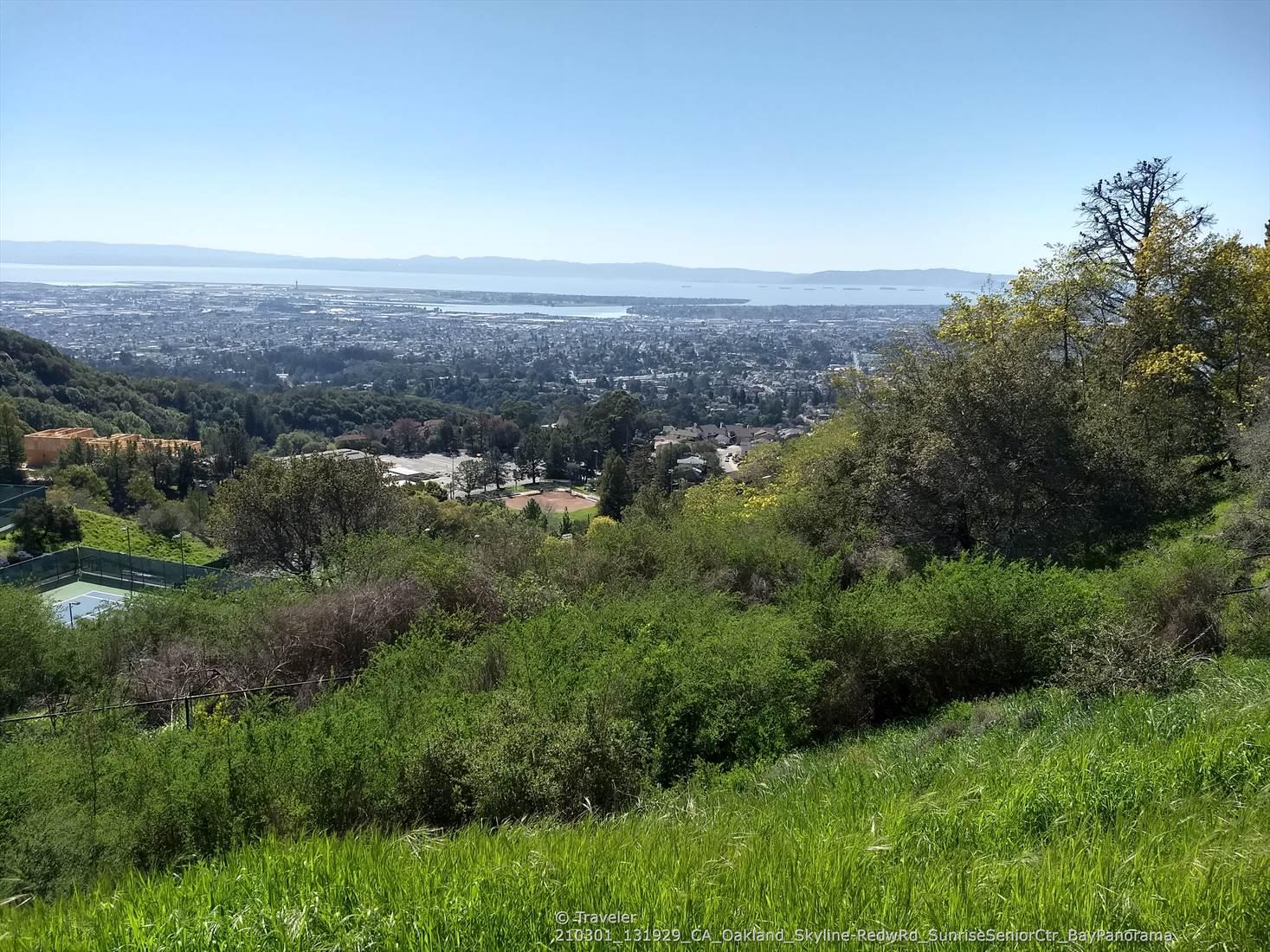 Sunny hillside overlooking a city, water, and distant land under a clear sky.