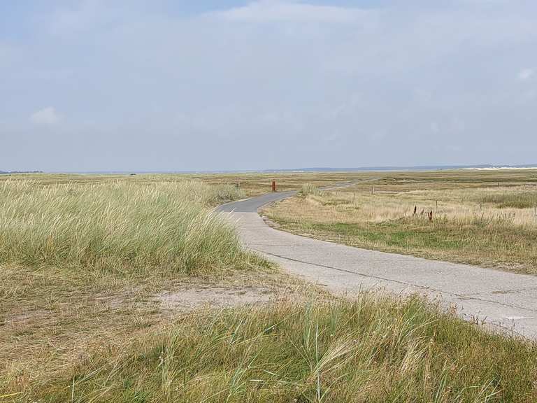 Skallingen - Cycle Routes and Map | Komoot