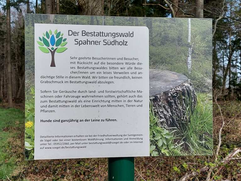 Friedwald Spahnharrenstätte Radtouren und Radwege komoot