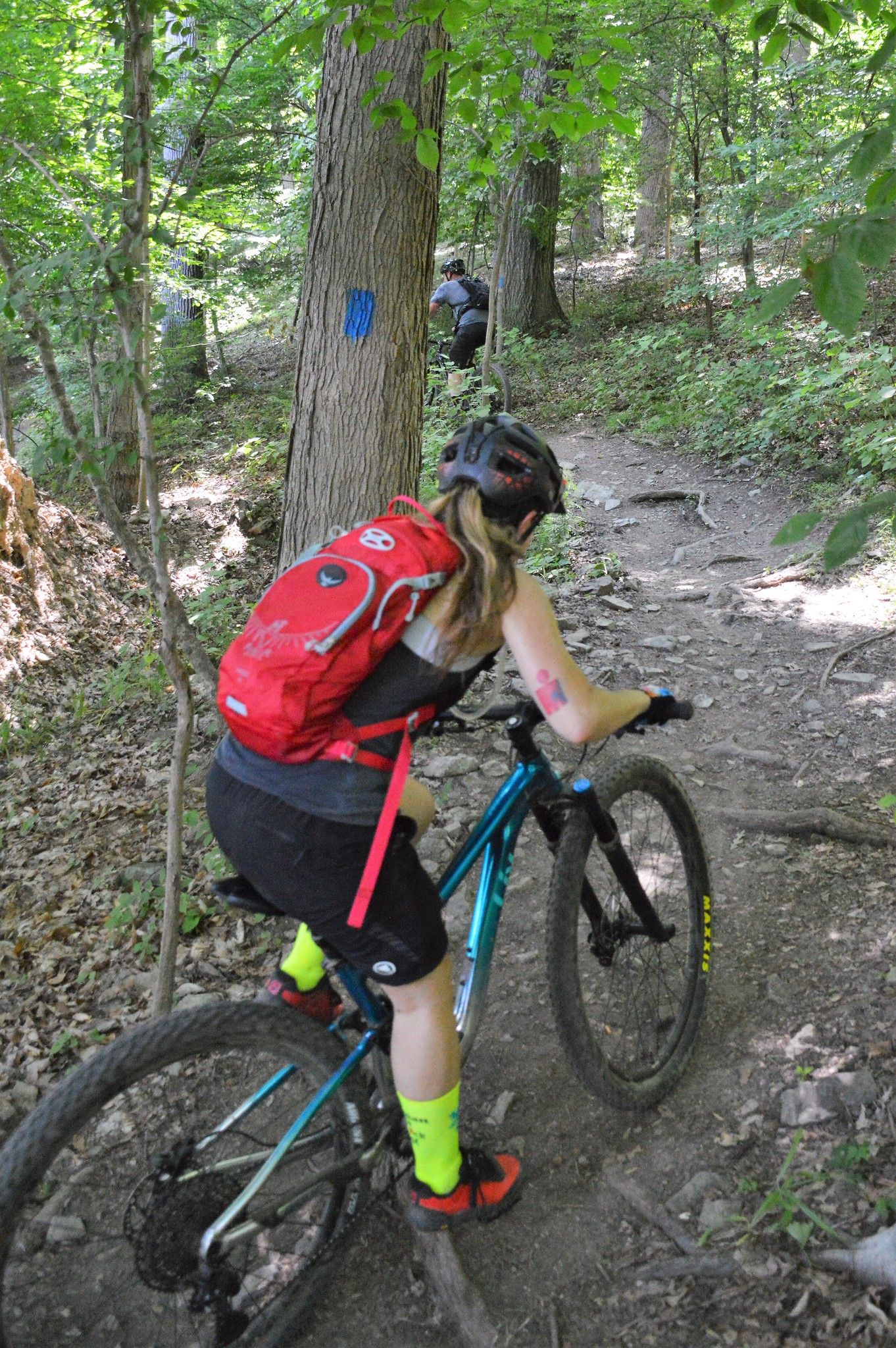 Mountain biker on a dirt trail in a dense, sun-dappled forest. - Blue, Perkiomen, and Red Trail Loop