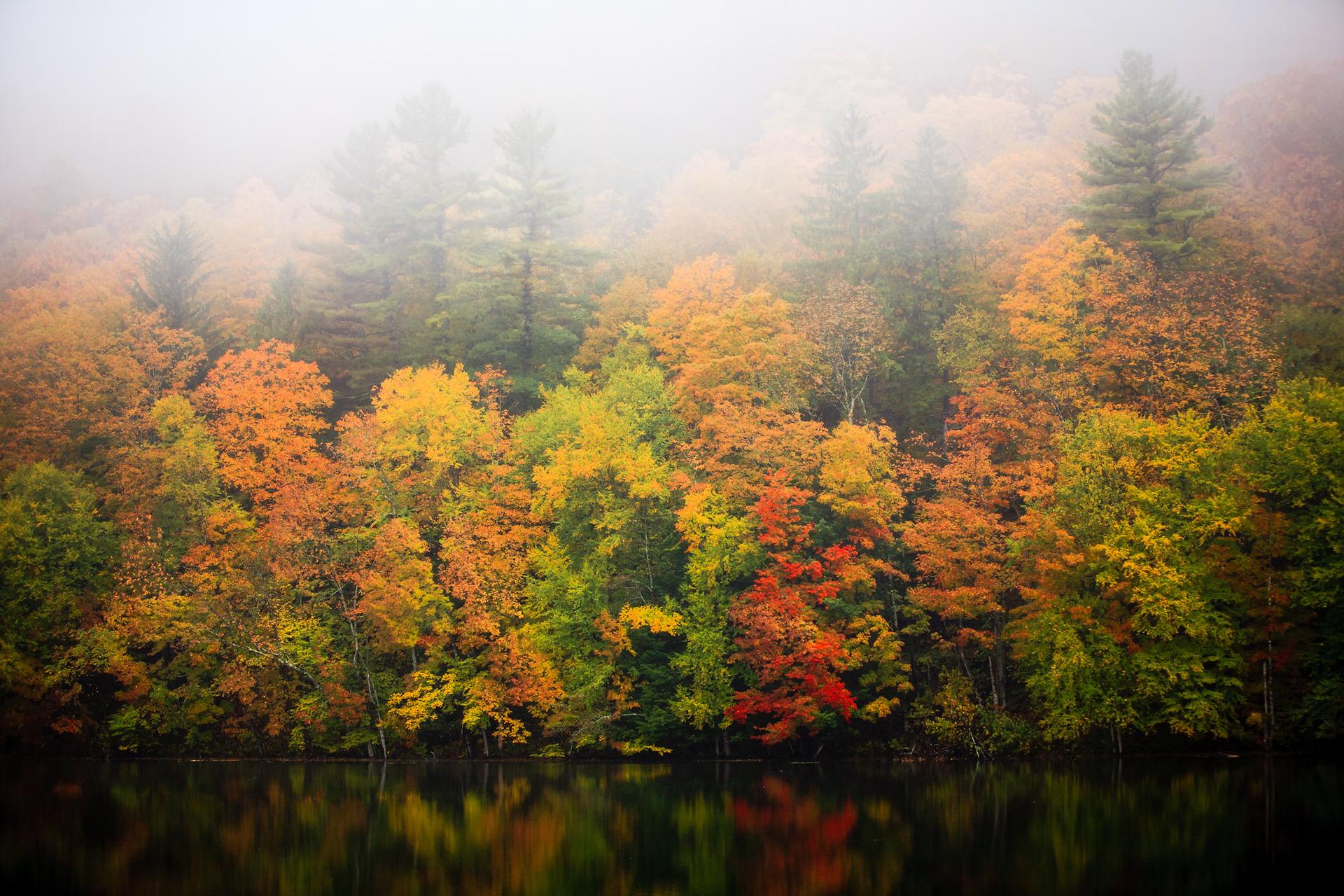 Foggy forest with vibrant autumn trees reflected in water.