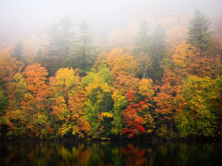 Mount Tom e The Pogue loop — Marsh-Billings-Rockefeller National ...