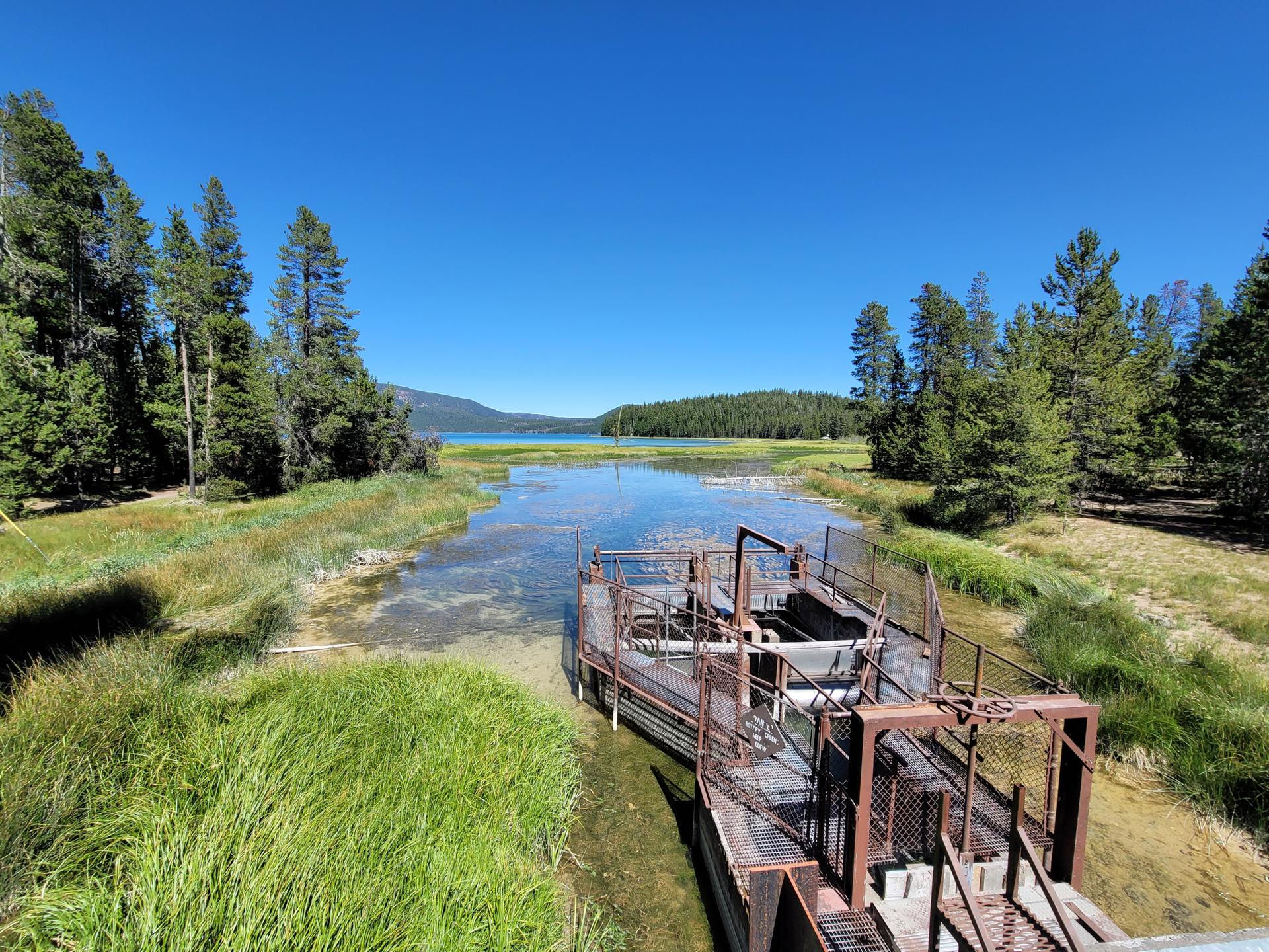 A clear river flows towards a lake, past a metal structure and pine trees.