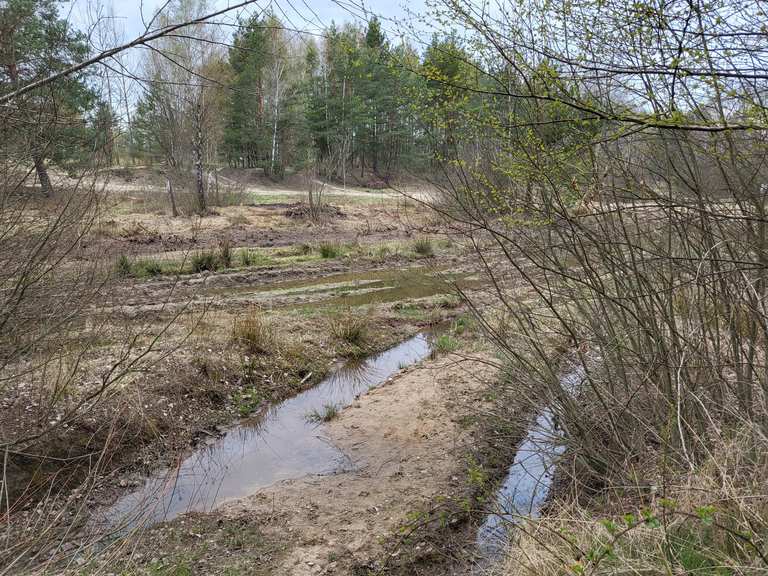 Přírodní památka Na Plachtě Wanderungen und Rundwege komoot
