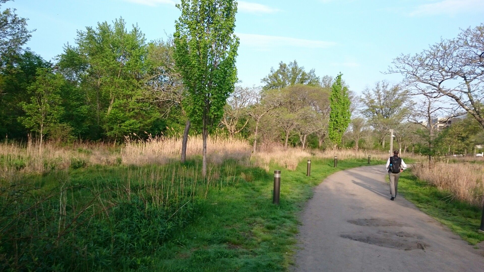 A person walks on a dirt path through a grassy field under bright daylight. - Western Greenway Loop