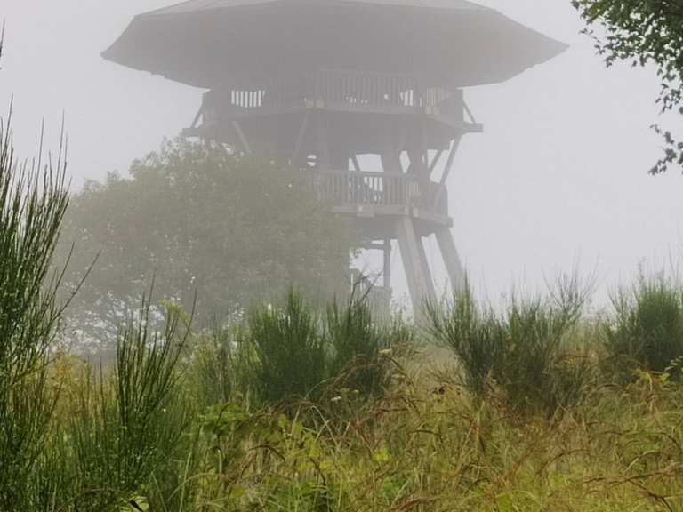 da kommt ein fahrrad um die ecke