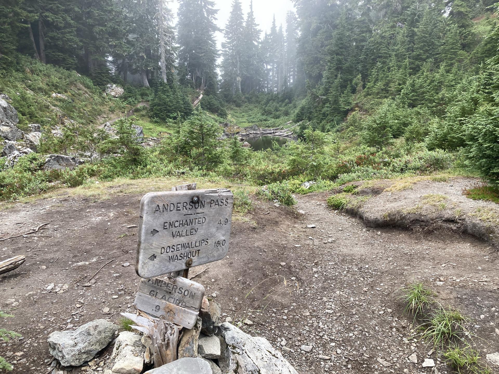 Wooden trail sign on a dirt path in a foggy, green forest.