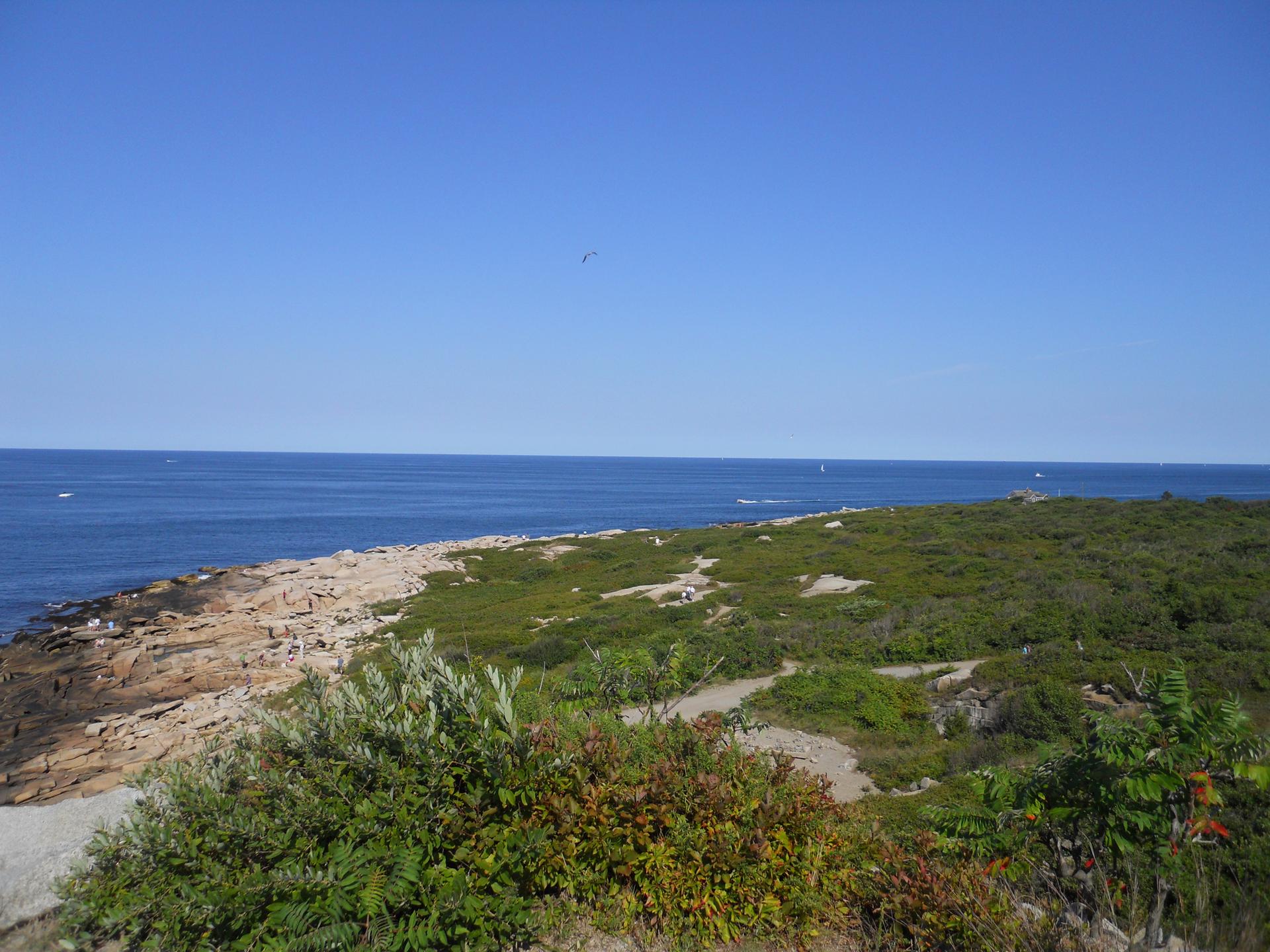 Rocky coastline with green shrubs, blue ocean, and clear sky.