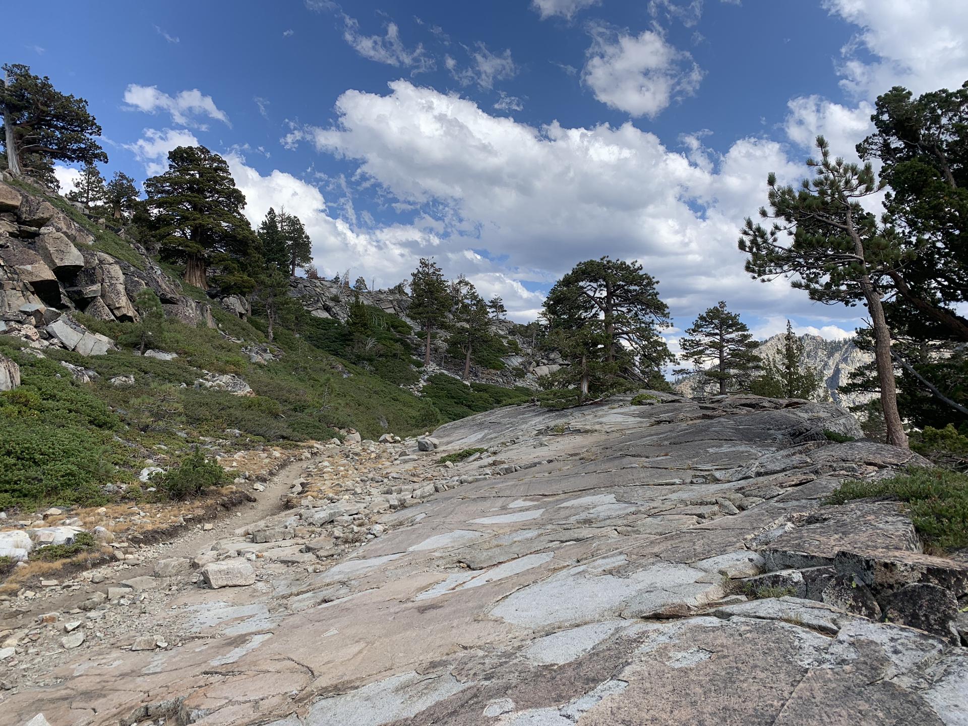 Rocky path winding through a mountain landscape with pine trees and blue sky.