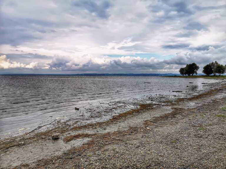 Rohrspitz Bodensee Wanderungen und Rundwege komoot