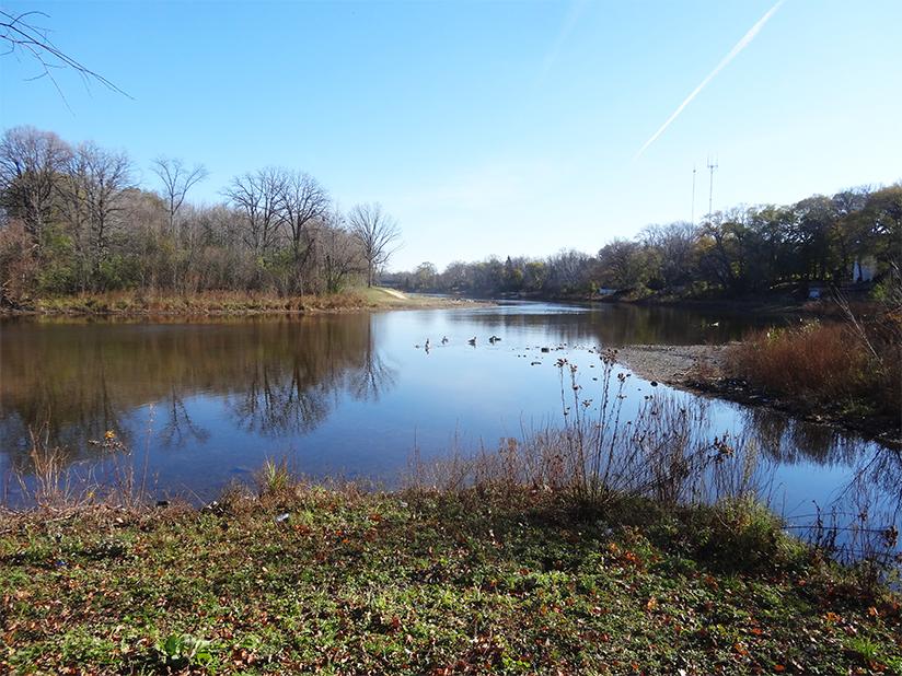Calm water with ducks, reflecting bare trees and grassy banks under blue sky.