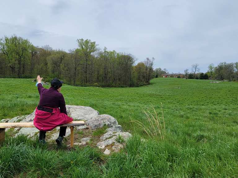 Buttermilk Hill via Old Orchard Trail — Rockefeller State Park Reserve