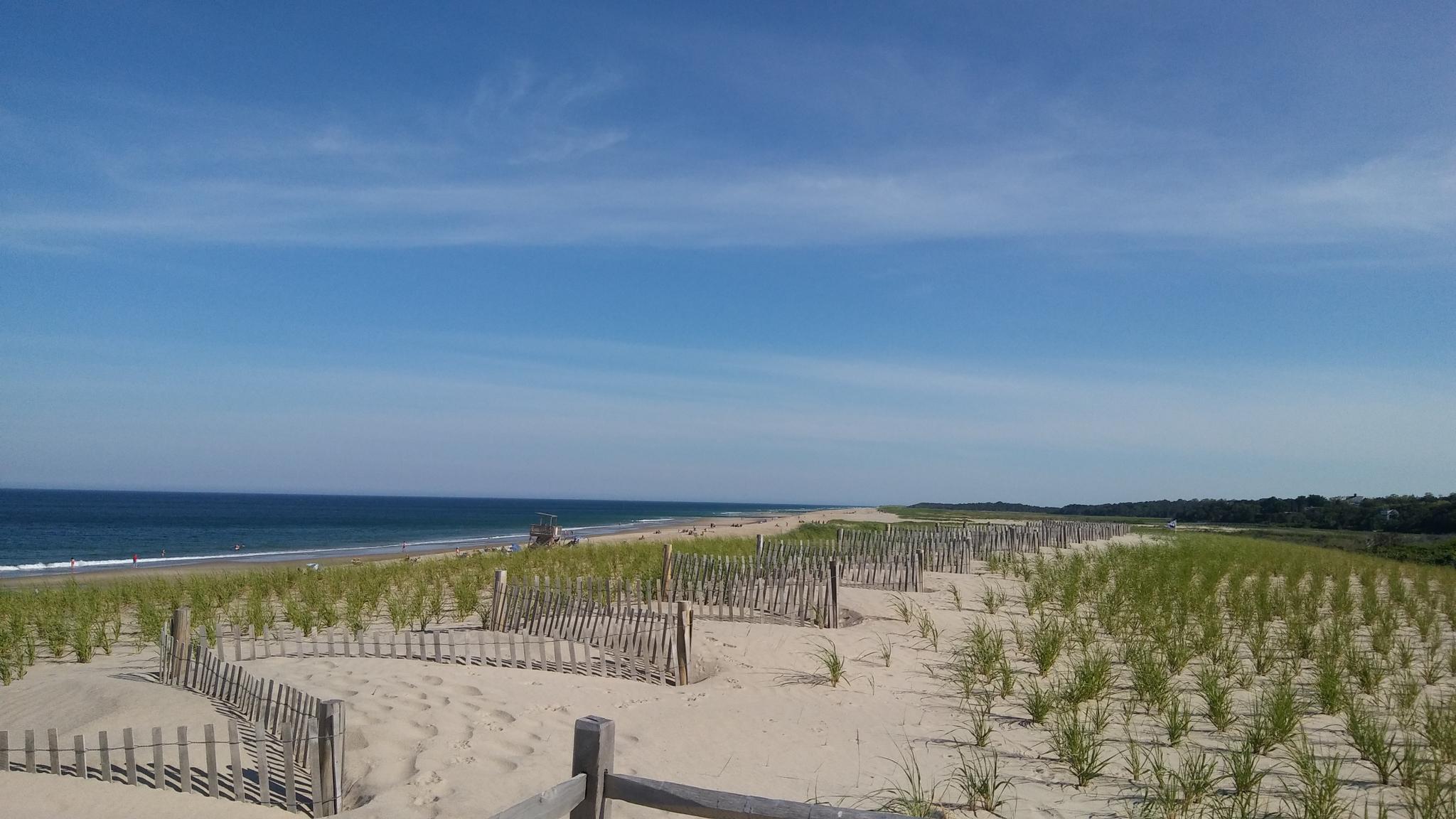 A sandy beach with dune fences and grass stretches to the ocean under a blue sky.
