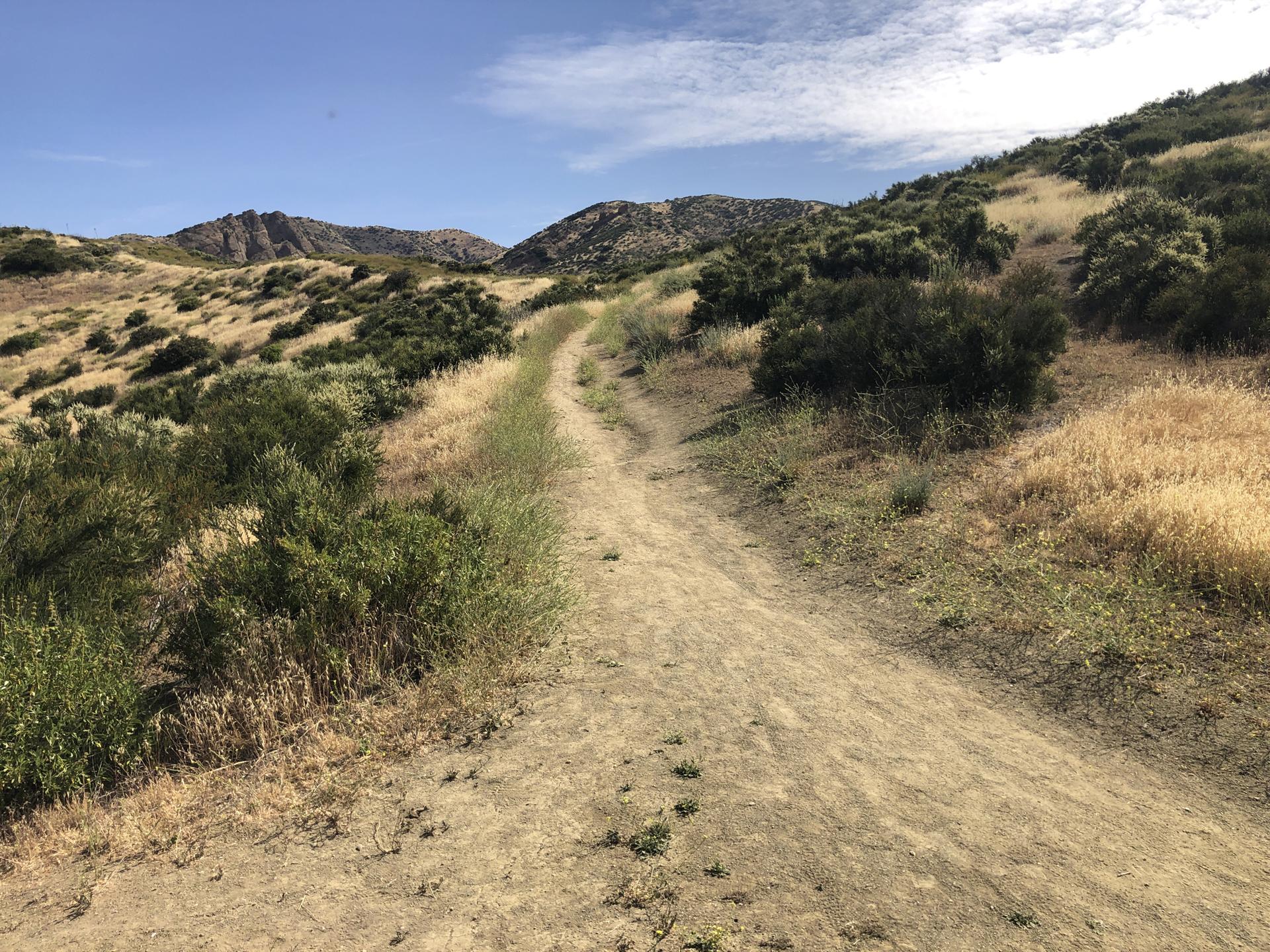 Winding dirt path through dry, brushy hills under a clear blue sky.