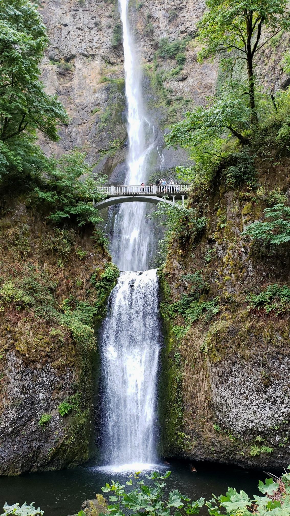 A tall waterfall cascades over rocks, with a bridge crossing its middle section.
