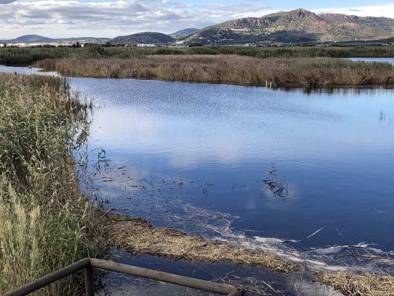 La Marjal dels Moros — Circular desde Playa de Puzol Wanderung Komoot