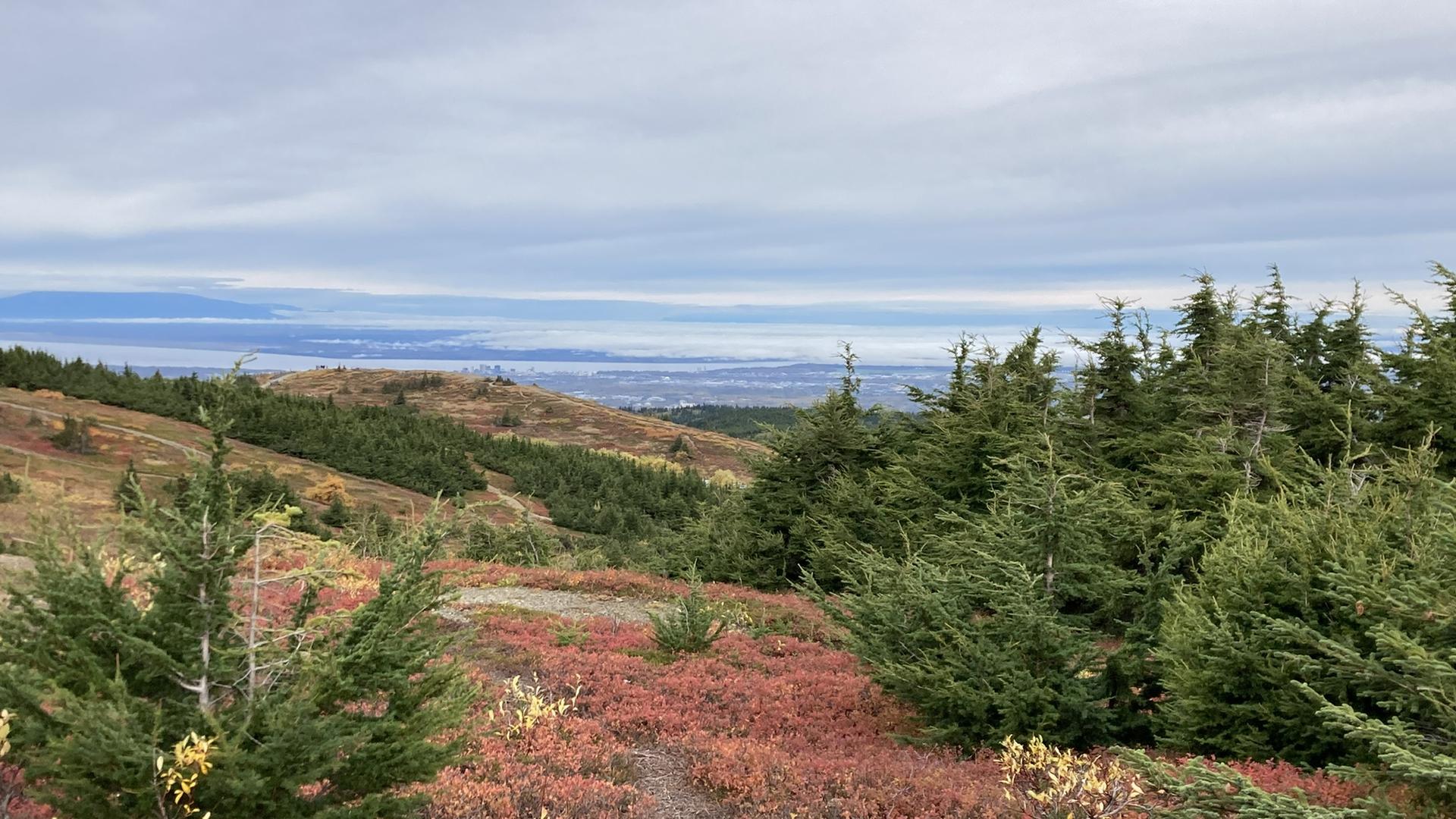 Autumnal mountain landscape with evergreen trees, red foliage, and distant water under cloudy sky.