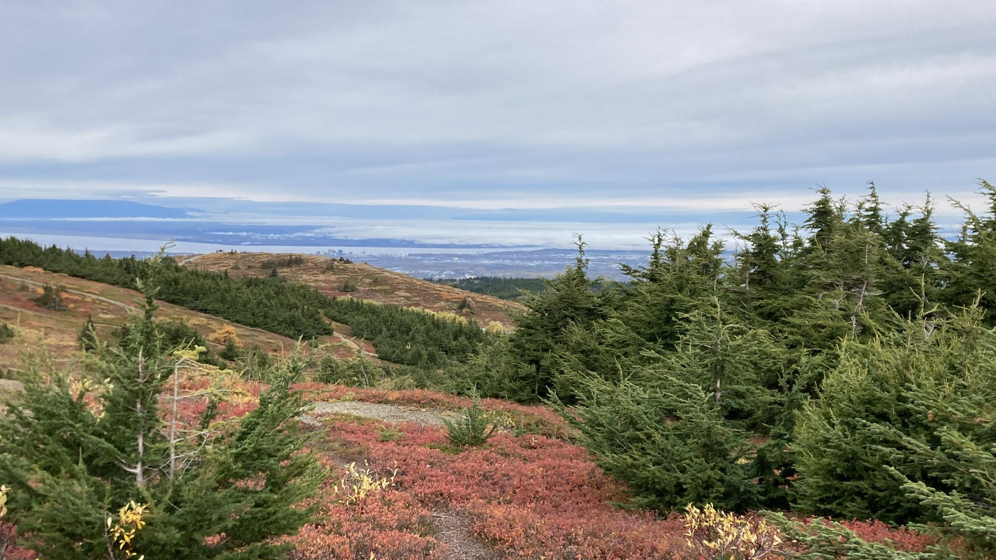 Autumnal mountain landscape with evergreen trees, red foliage, and distant water under cloudy sky. - Blueberry Knoll Loop