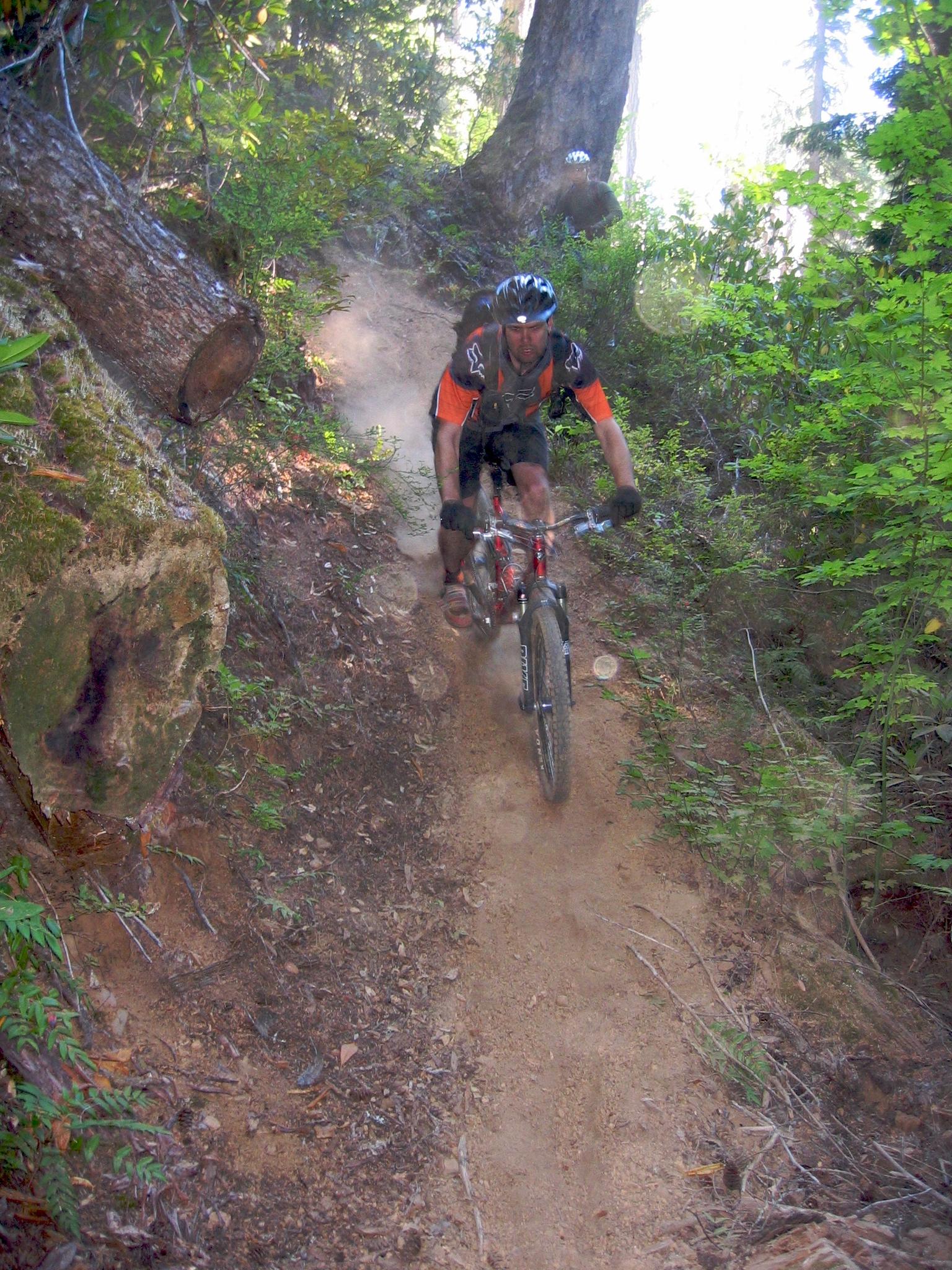 A man on a mountain bike rides down a steep, dusty forest trail.