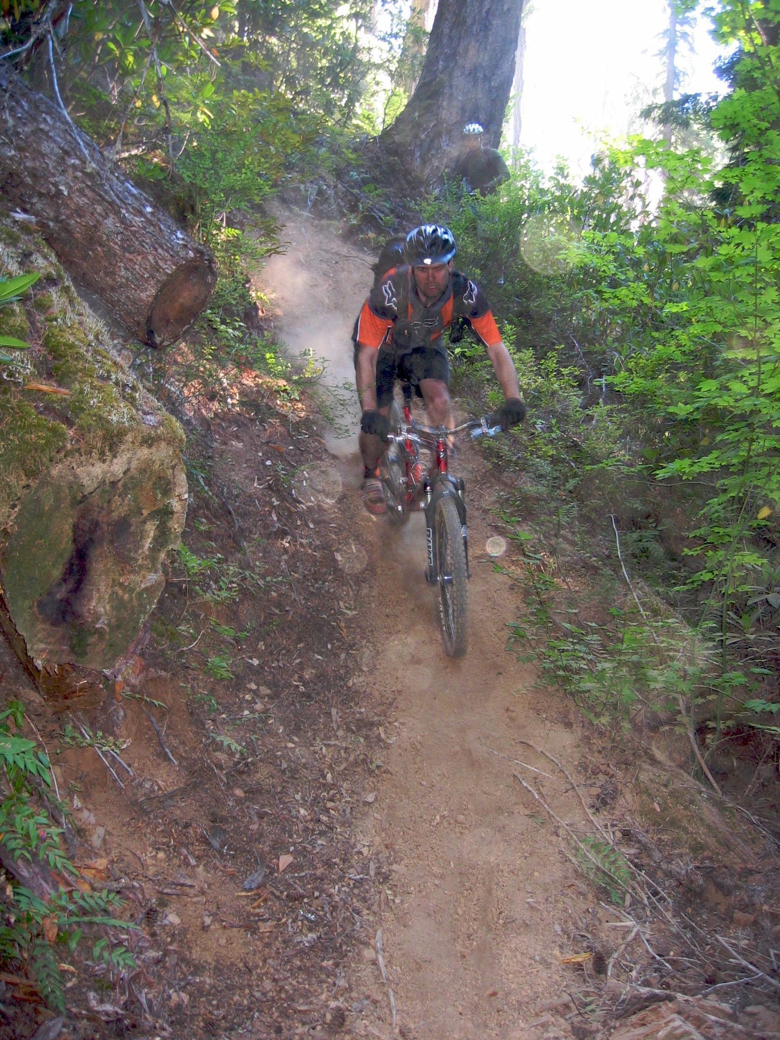 A man on a mountain bike rides down a steep, dusty forest trail. - Middle Fork Snoqualmie River Trail