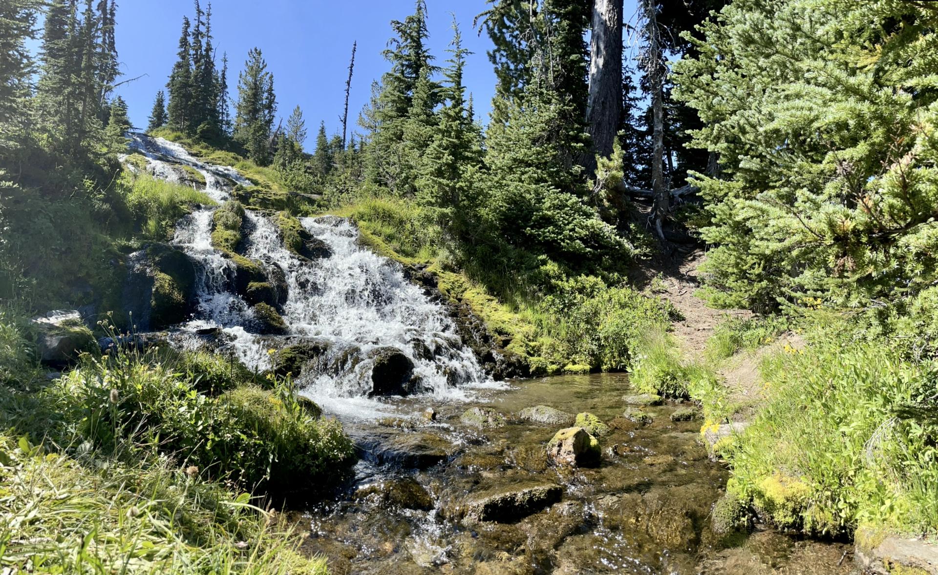 Sunny waterfall cascading into a clear stream, surrounded by green forest.