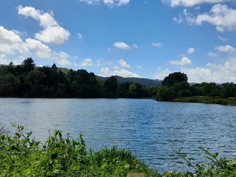 Burton and Chingford Ponds Local Nature Reserve Wanderungen und Rundwege komoot