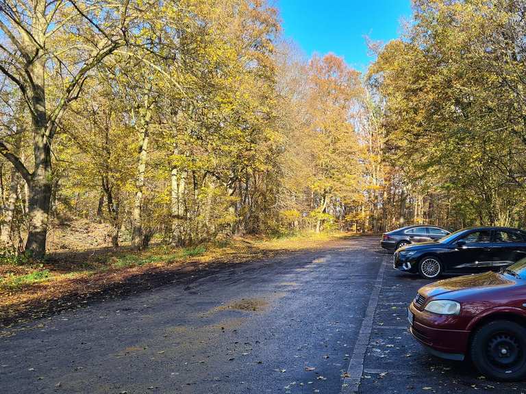 Parkplatz im Wald MountainbikeTouren und Trails komoot
