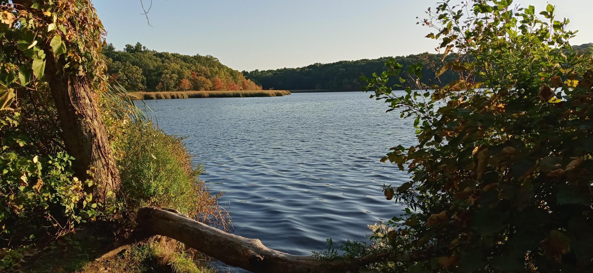 Serene lake framed by trees with autumn foliage, warm sunlight.