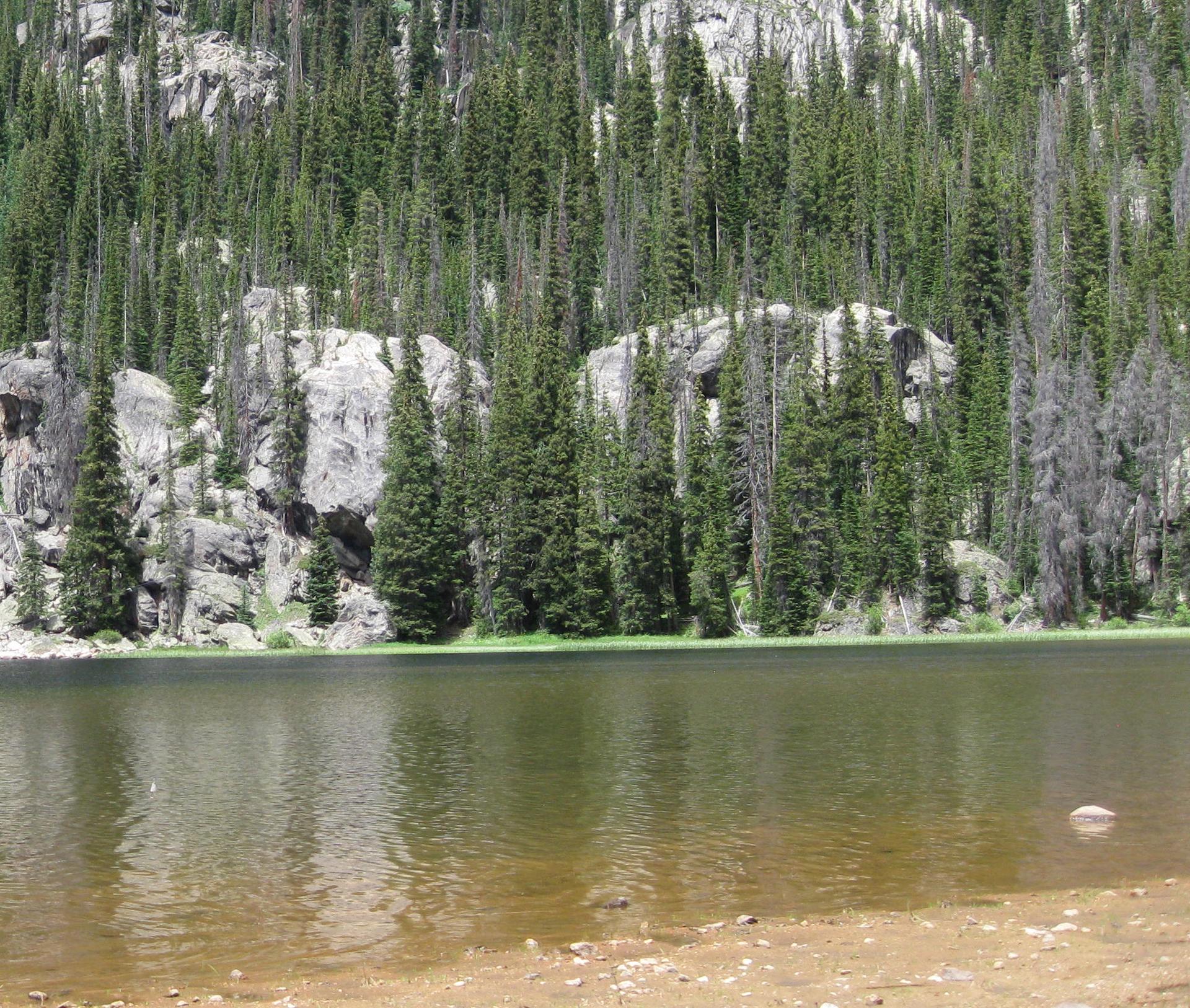 Calm lake with a sandy shore, backed by a dense evergreen forest and rocky cliffs.