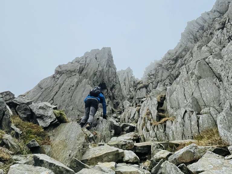 Bristly Ridge – Hikes & How to Get There | Komoot