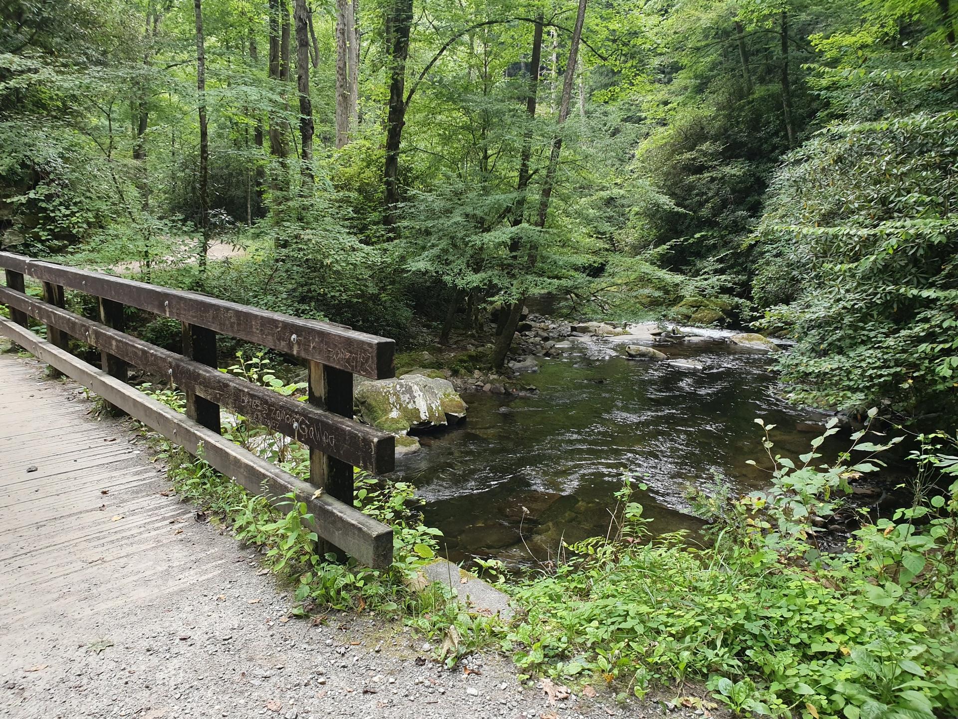 Wooden bridge railing next to a flowing river in a green forest.