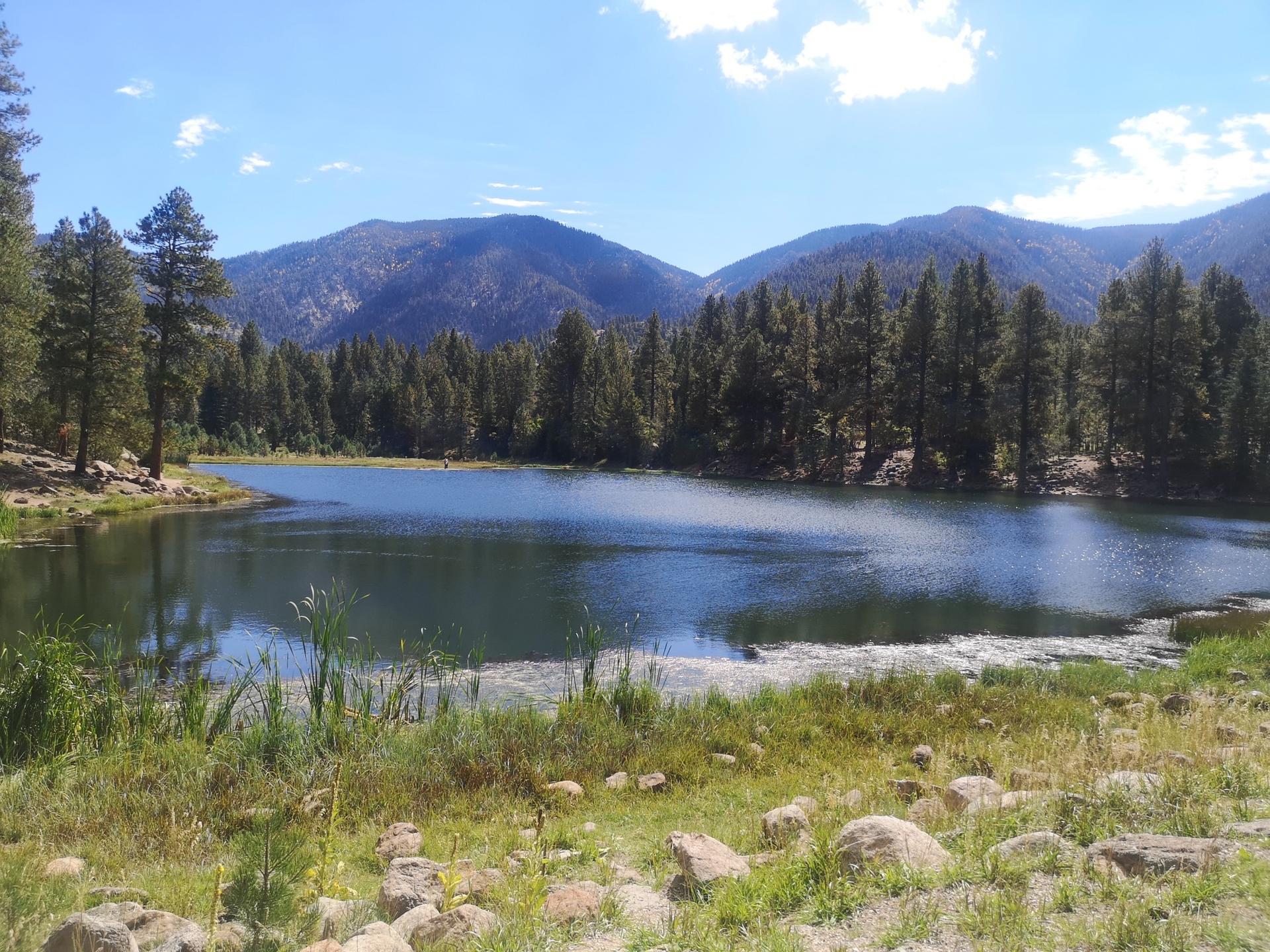 Serene lake surrounded by dense pine forest and distant mountains on a sunny day.