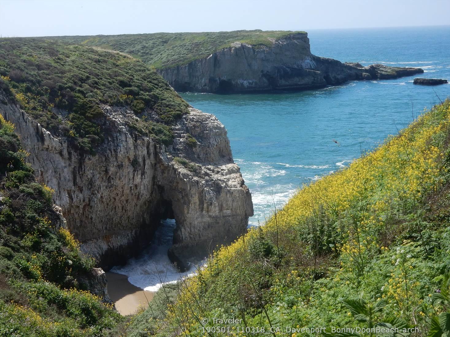 Sunny coastal view with a sea arch, blue ocean, and vibrant yellow flowers.