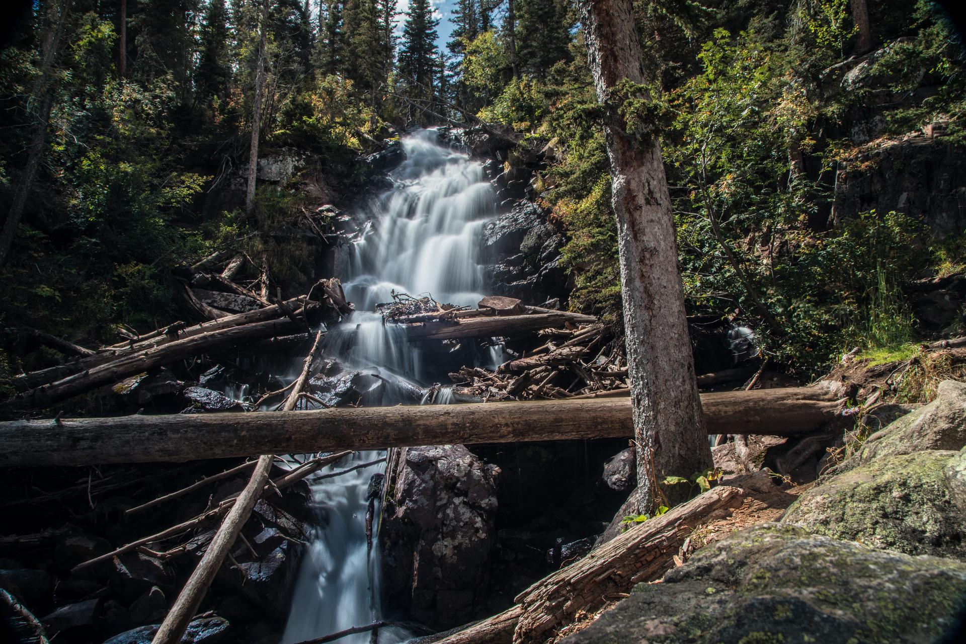 Waterfall cascading over rocks amidst fallen logs and dense forest.