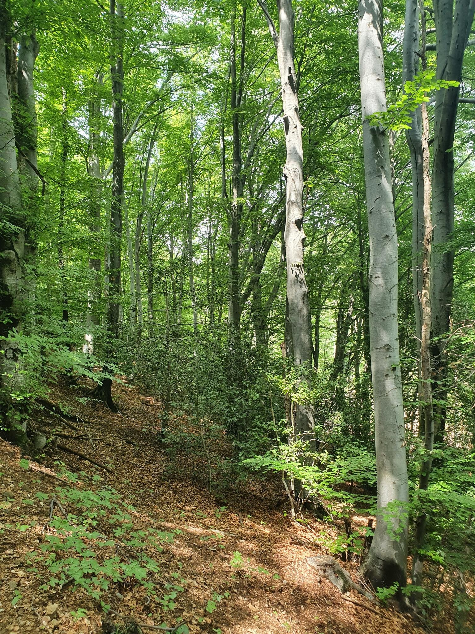 Anelli Argento 925 Per Dito Del Piede - Set 3 Pezzi Donne - Foto 9