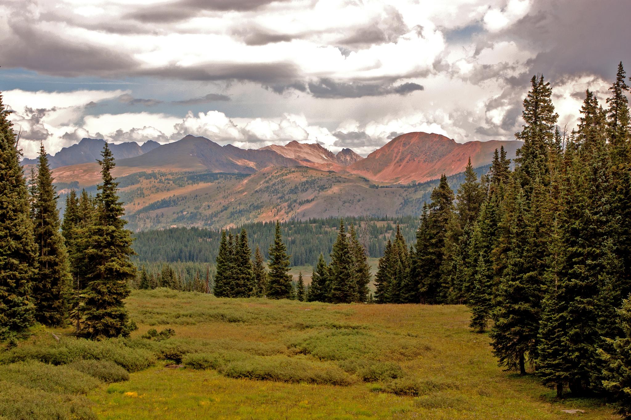 Mountain landscape with evergreen trees, a meadow, and cloudy skies.