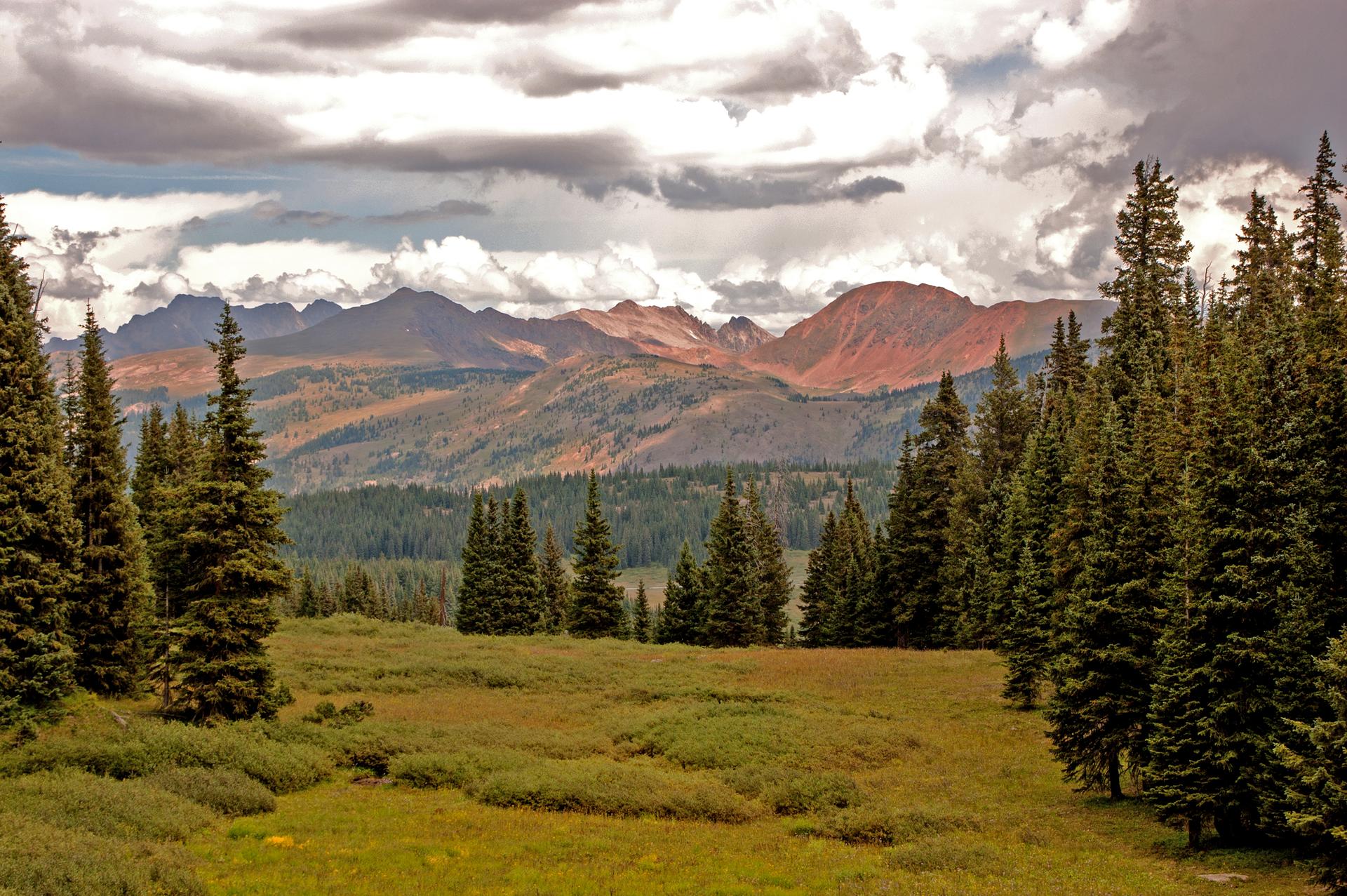 Mountain landscape with evergreen trees, a meadow, and cloudy skies.