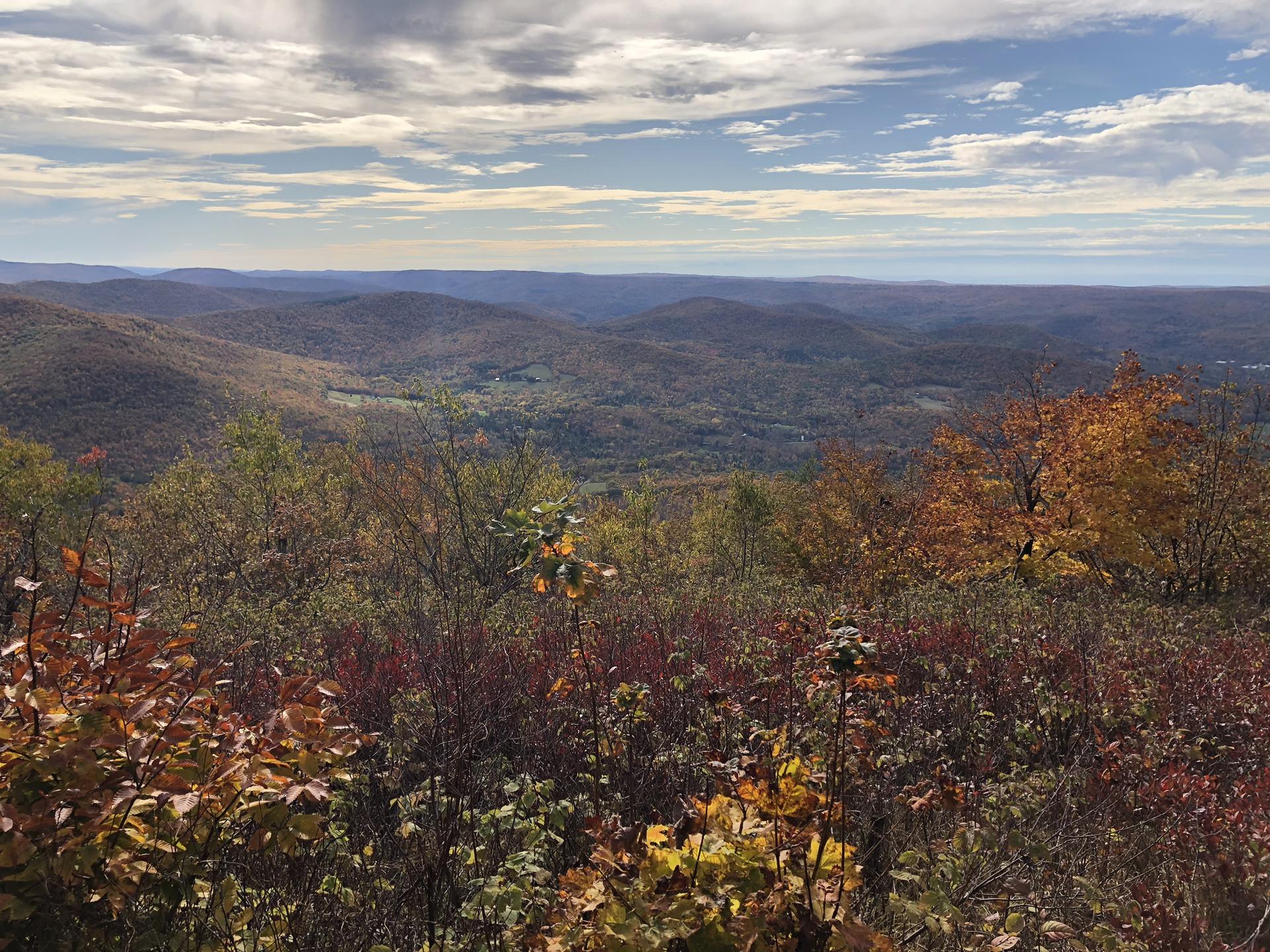 Expansive view of colorful autumn hills and valleys under a bright sky.
