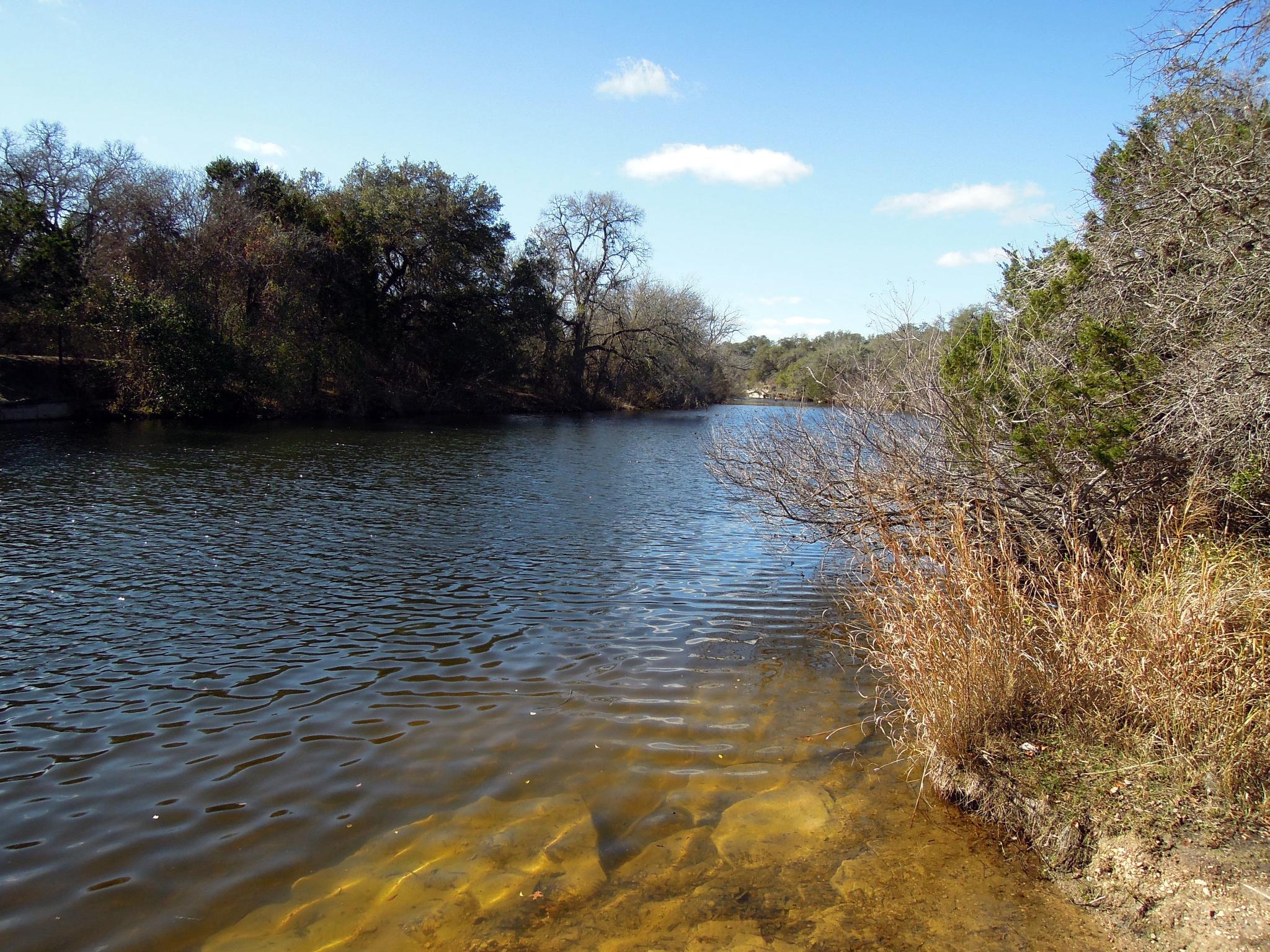A wide, clear river with rocky shallows and dense trees under a blue sky.