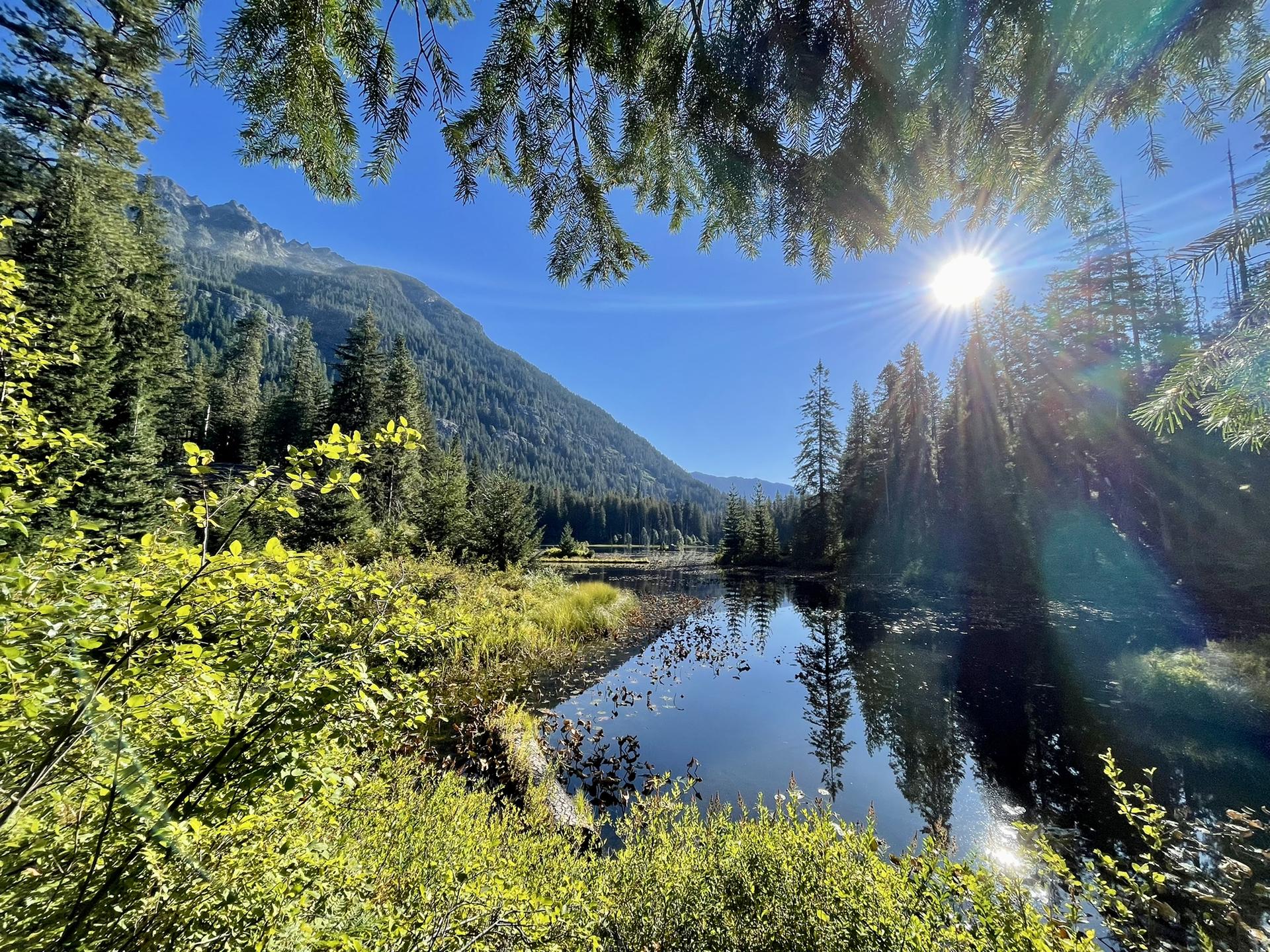 Sunny lake surrounded by lush green foliage and mountains, sunburst visible.