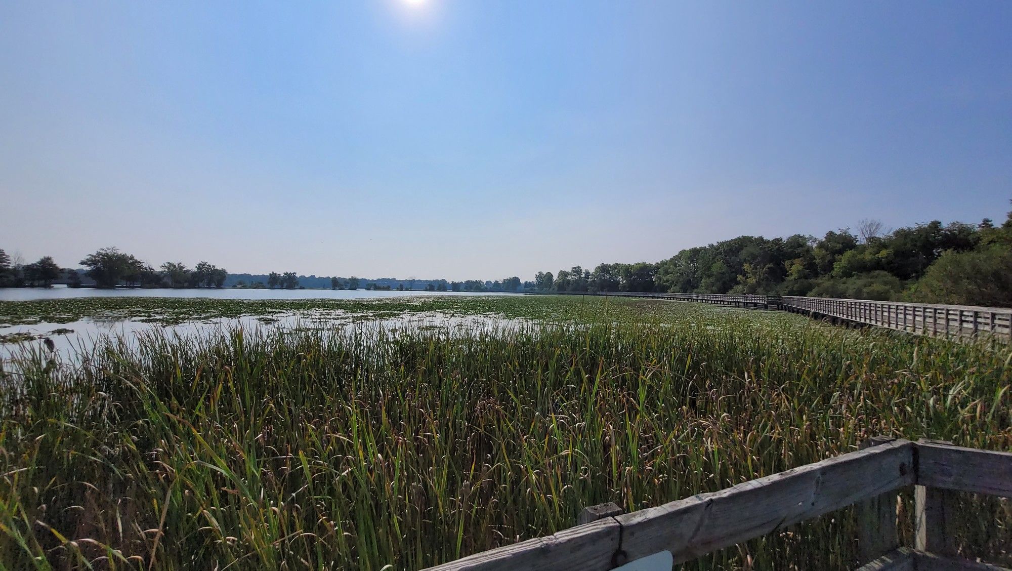 Wooden boardwalk alongside a lake with tall reeds under a bright sun. - Iron Belle and Border-to-Border Trail Loop